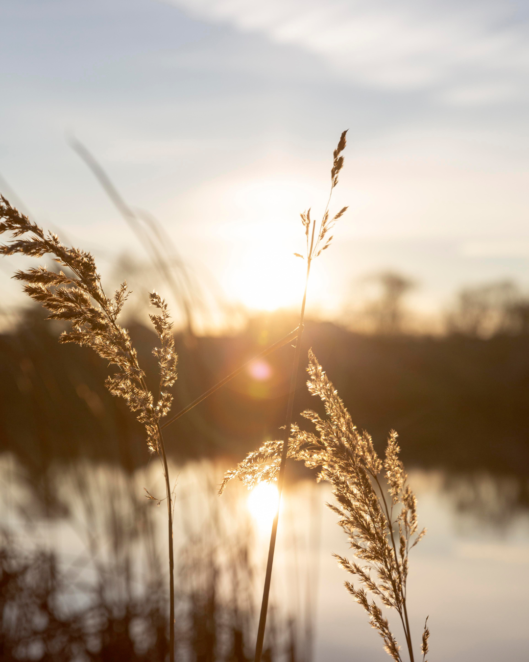 Doriane Bertaux - Cap Conscience - Coaching Breathwork - Rochefort - Charente-Maritime (16)